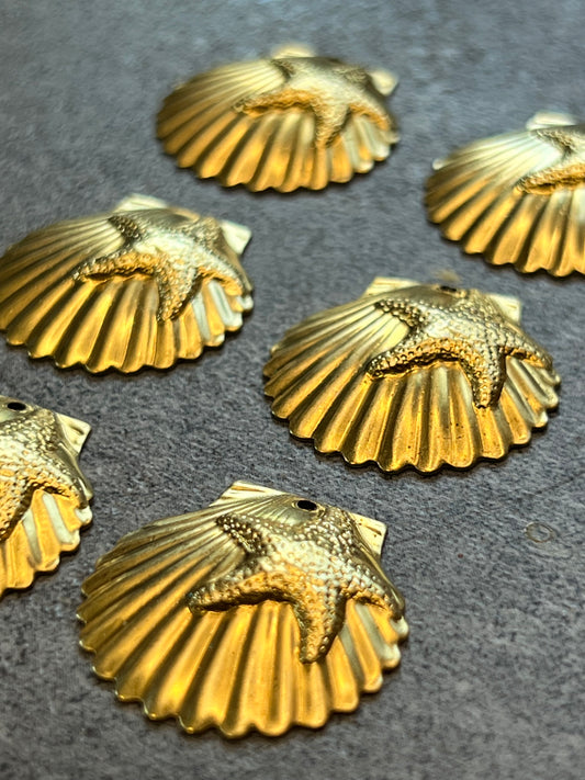Shell Pack - 16pcs