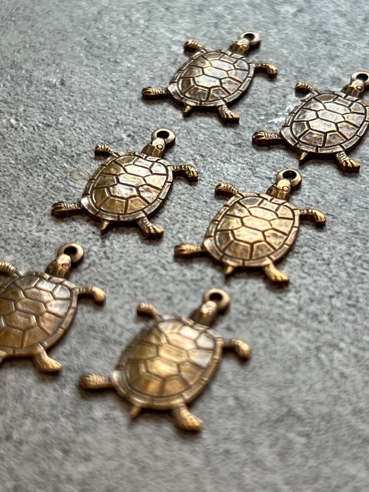 Turtle Pack - 14pcs