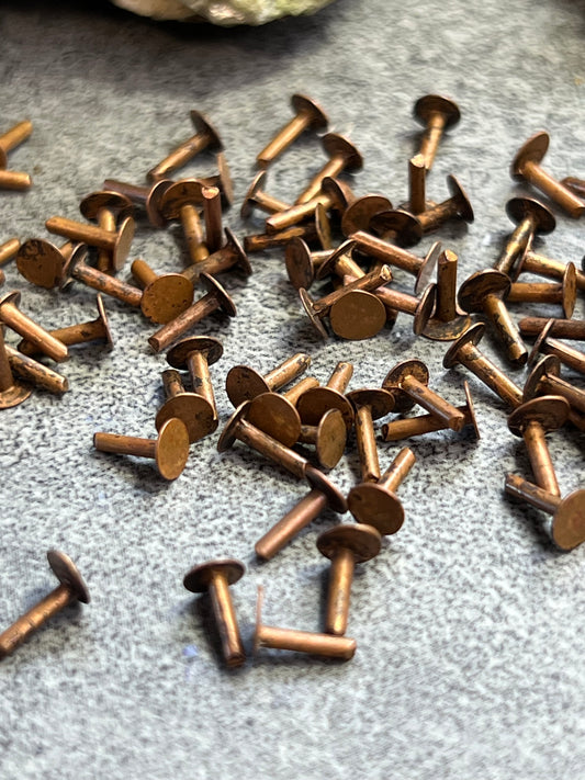 Rivet Pack - 300pcs